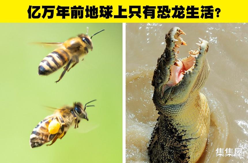 在电影中,对恐龙的描述方式存在的8个错误