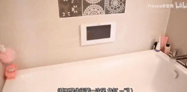 宋智雅|不只穿假货！宋智雅豪宅全是租的，公主风奢华住所都是TA在出钱供