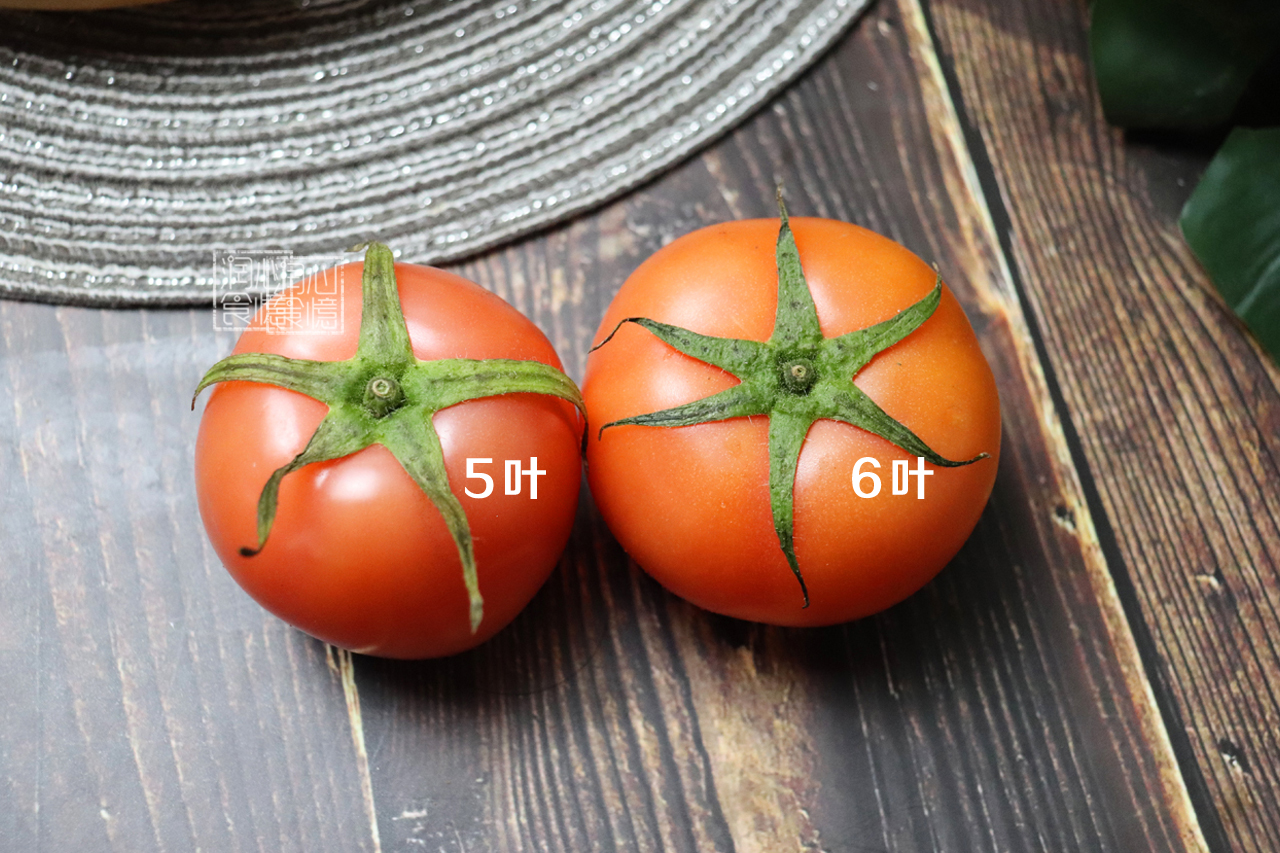 西红柿也分“公母”?挑5片叶还是6片叶?差别不小,学会不再买错