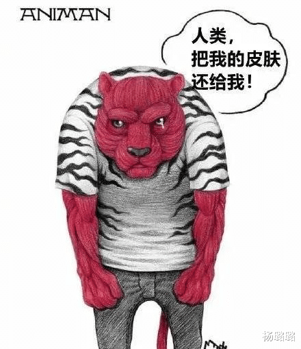 如果动物会说话,北极熊却只想要冰,而其他动物的话让大家沉默了