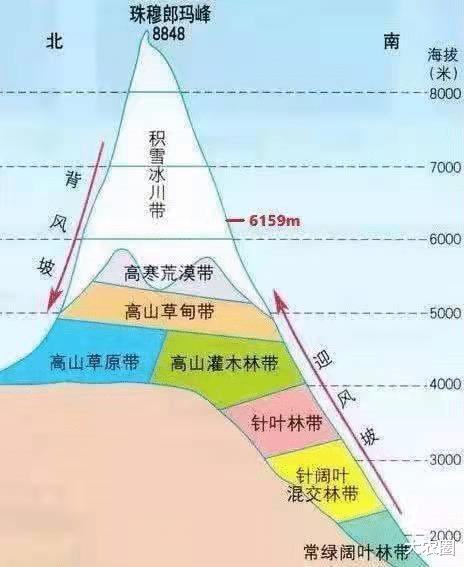 曹泳春:驳枝角45度的伪科学