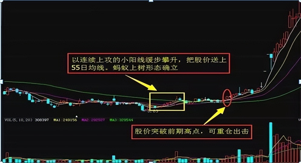 股市:出现“蚂蚁上树”走势,说明主力已成功筑底,后市主升浪