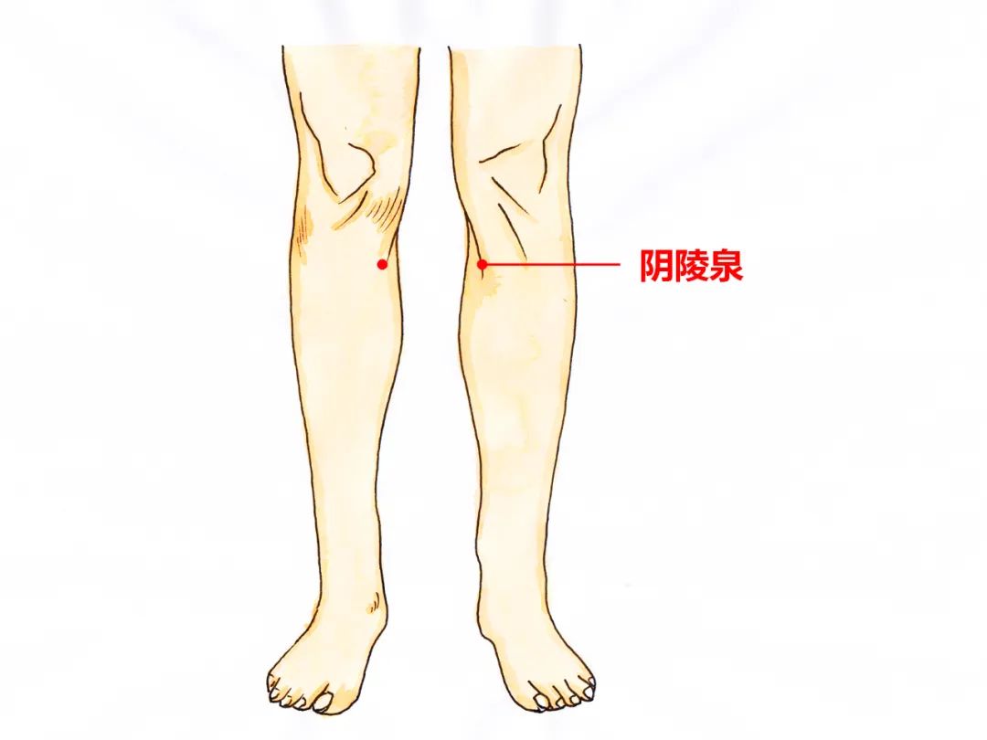 胆囊|湿气较重的人，往往有这3个表现，需要采用这5个方法祛湿