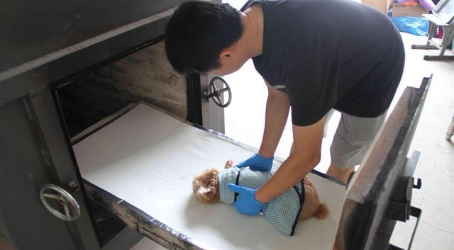 大学生|大学生执意要做“新职业”,毕业收入远超铁饭碗,家长坚决不同意