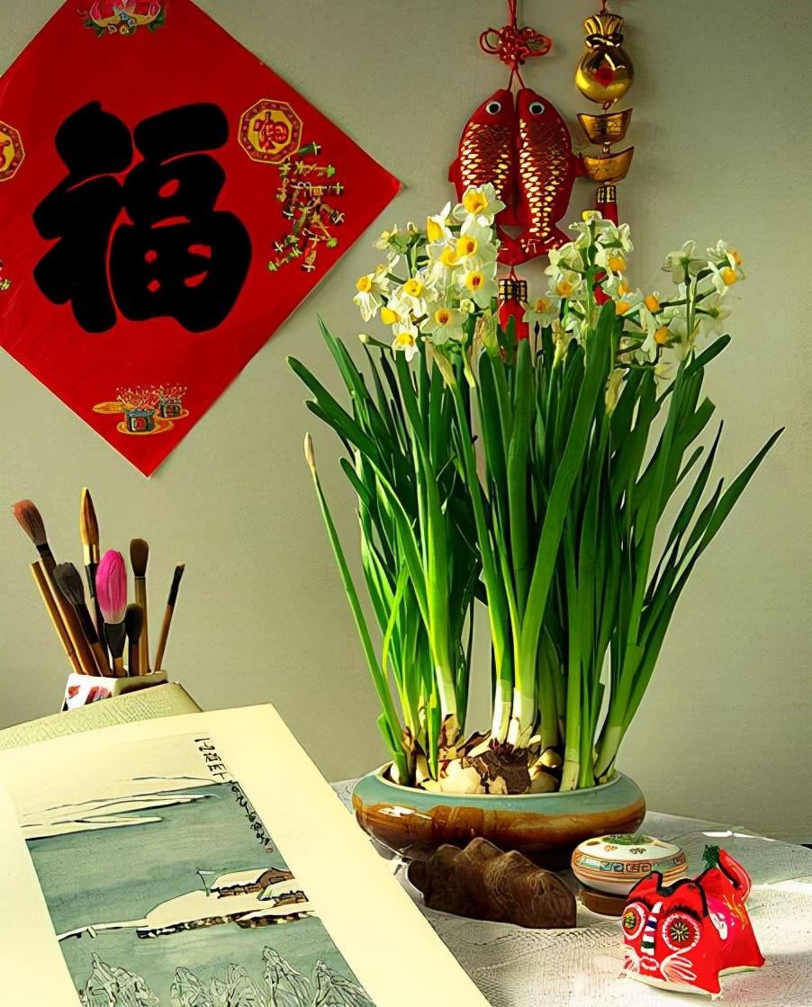 奶奶对我说，卧室别养7类花，仔细想一想，不是“迷信”是科学