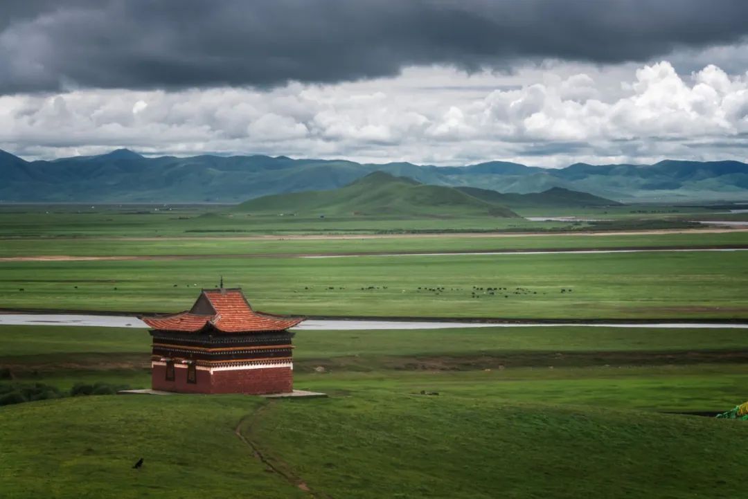香港|草原季即将开启,如何选择最适合你的草原?