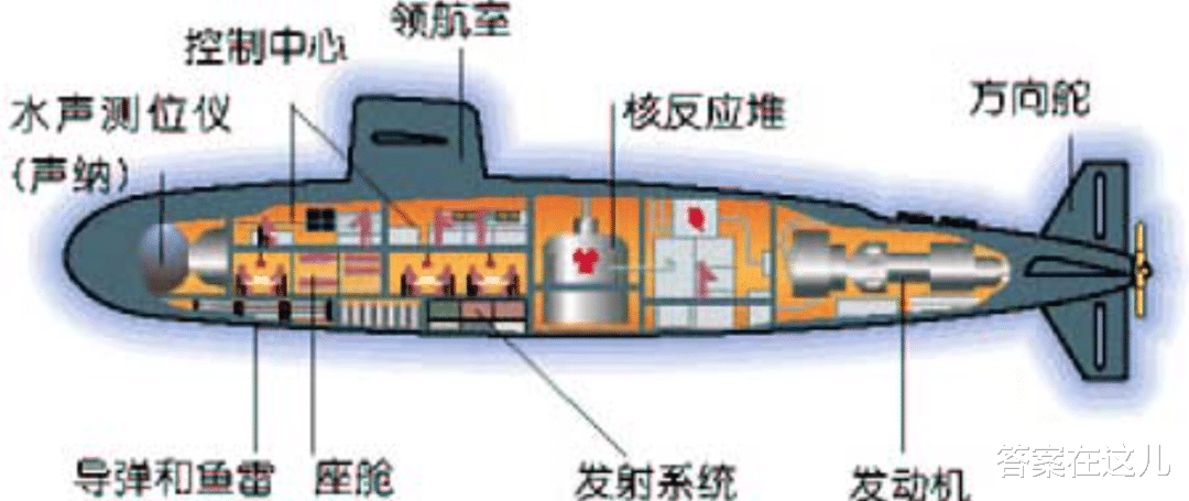鲸鱼明明产了大量排泄物,粪便价值却还是很大,为什么?