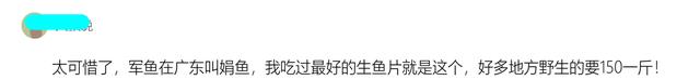 云浮|军鱼泛滥？云浮钓友钓了十几条后全部放生，网友：可惜了，150一斤