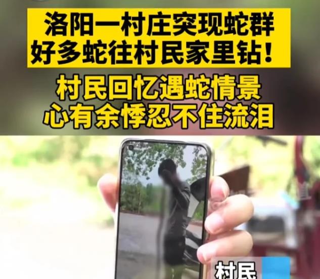 老人说“见到毒蛇不可怕,见到毒蛇出洞就不妙了”,有何解释?
