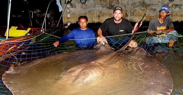 森林公园|40个让人敬畏的巨物