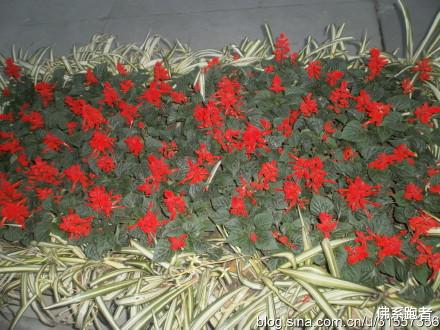 咳嗽|好习惯有哪些?