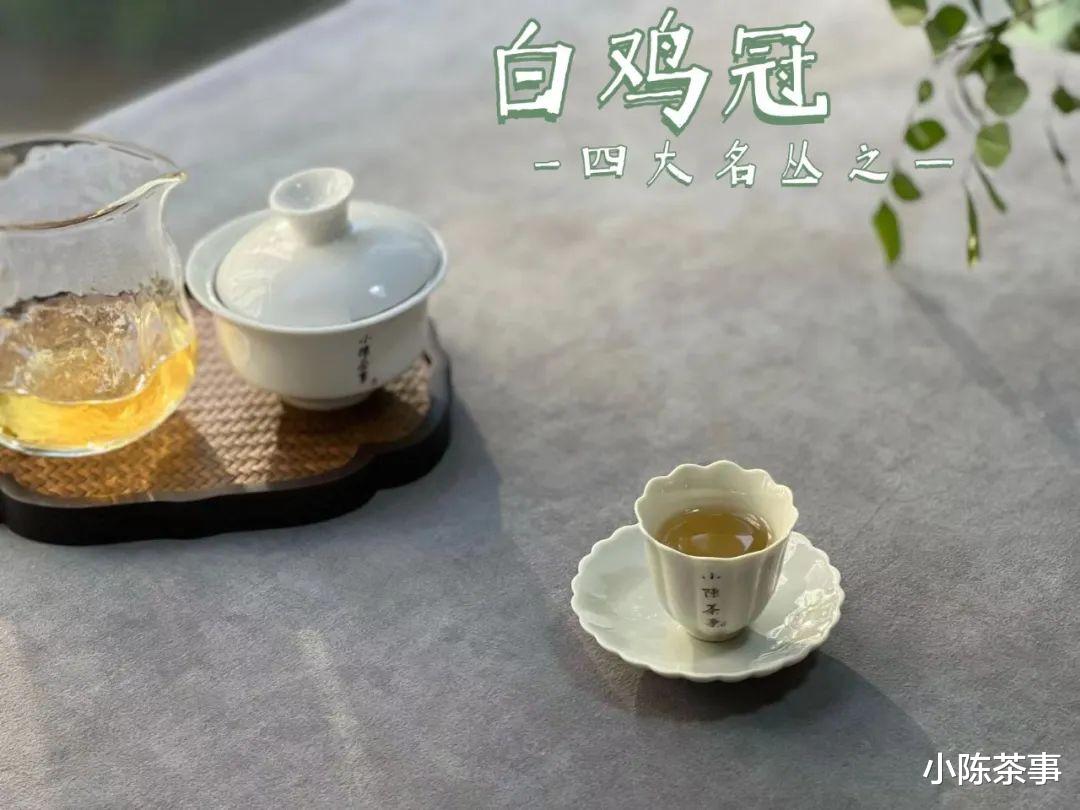 追光2023年，喝武夷岩茶时不能遗忘的10件“小事”，轻松喝好岩茶
