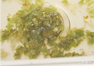 下水道堵塞用热水冲?错!教你这么做,管道疏通无异味