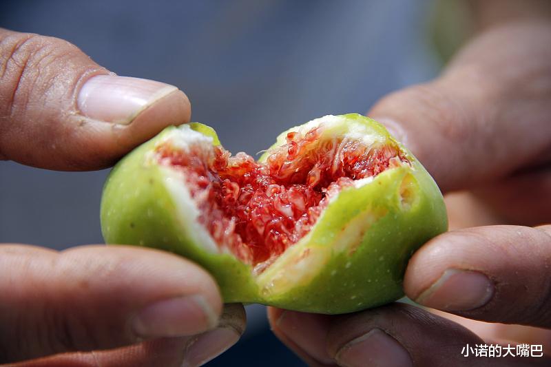 运动|脱发吃什么？常吃6菜6果，改善脱发，让发缝恢复浓密！