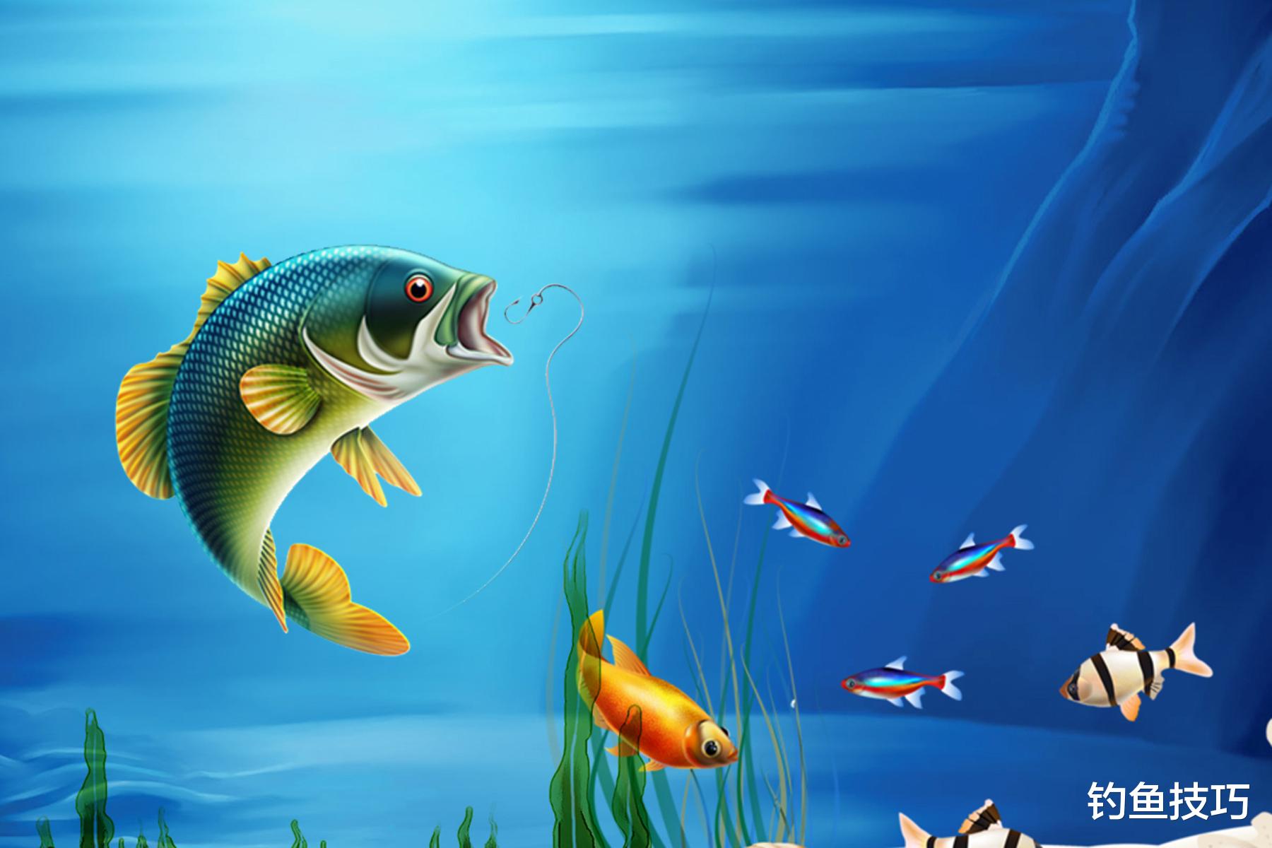 饵料|钓鱼新手经常脱钩跑鱼怎么办?脱钩跑鱼的主要原因和应对策略