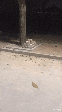 台湾|中国粉丝给自己的偶像买了一个英国爵位？这是真爱粉