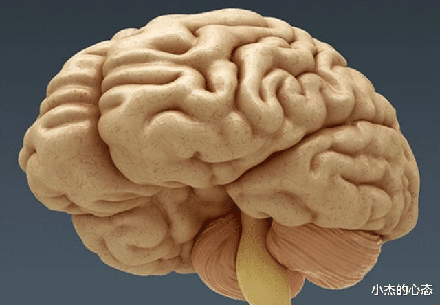 人类的大脑相当于多少TB的内存？可能一直以来都被低估了