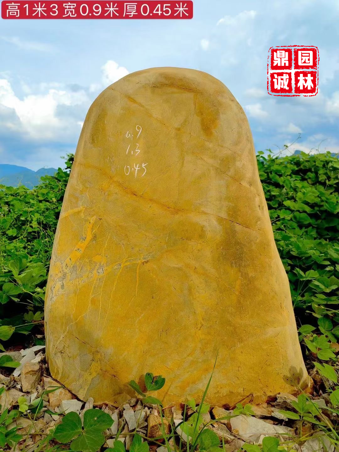 园林|黄蜡石黄色圆润景观摆放风景置放石