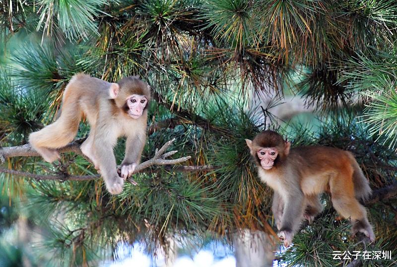 |职场上到底有没有真朋友?