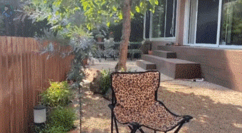 这位80后太太很有眼光，买下被人嫌弃的一楼，装修后被超多人羡慕