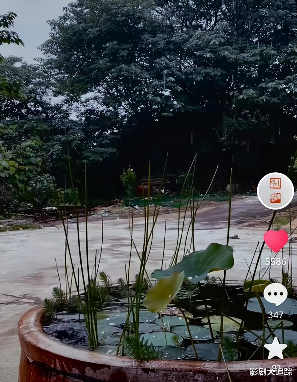 杜海涛|杜海涛为婚礼做准备！仨月暴瘦快认不出，专门去乡间学刻婚礼喜印