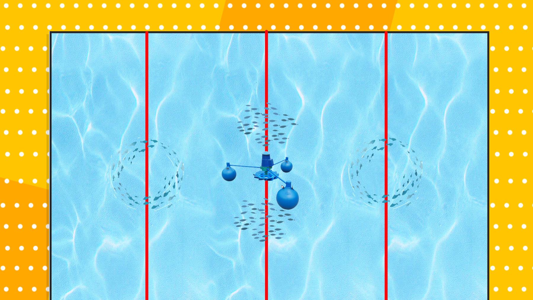 鲤鱼|春天钓黑坑鲤鱼，钓位第一重要，春天钓黑坑鲤鱼的选钓位技巧