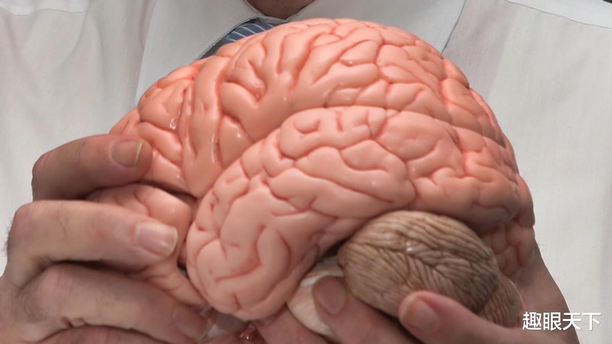 美发明死而复生技术,人类有望永生?哈佛科学家:这是在犯罪!