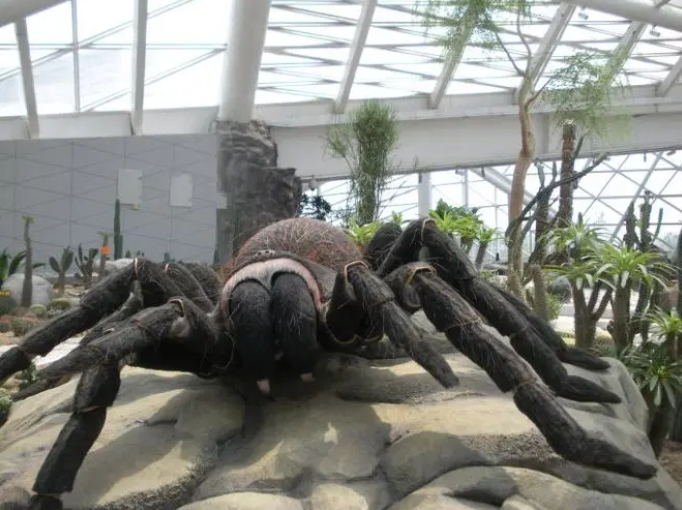 盘点世界上你不知道的巨型生物，网友：现代版“人面魔蛛”？