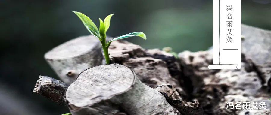 便秘|补血:想要补血快,这四个穴位很关键!一定要学会