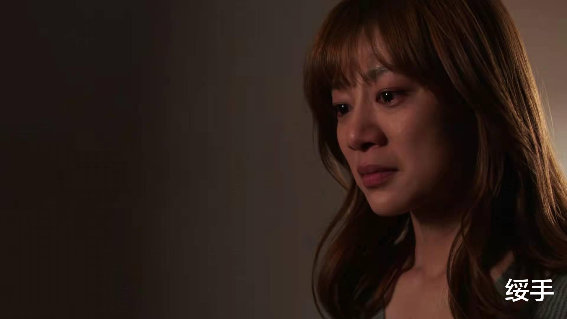 林庆昆|完美伴侣：职场精英PK家庭主妇，合作式婚姻，注定散场，遗憾！