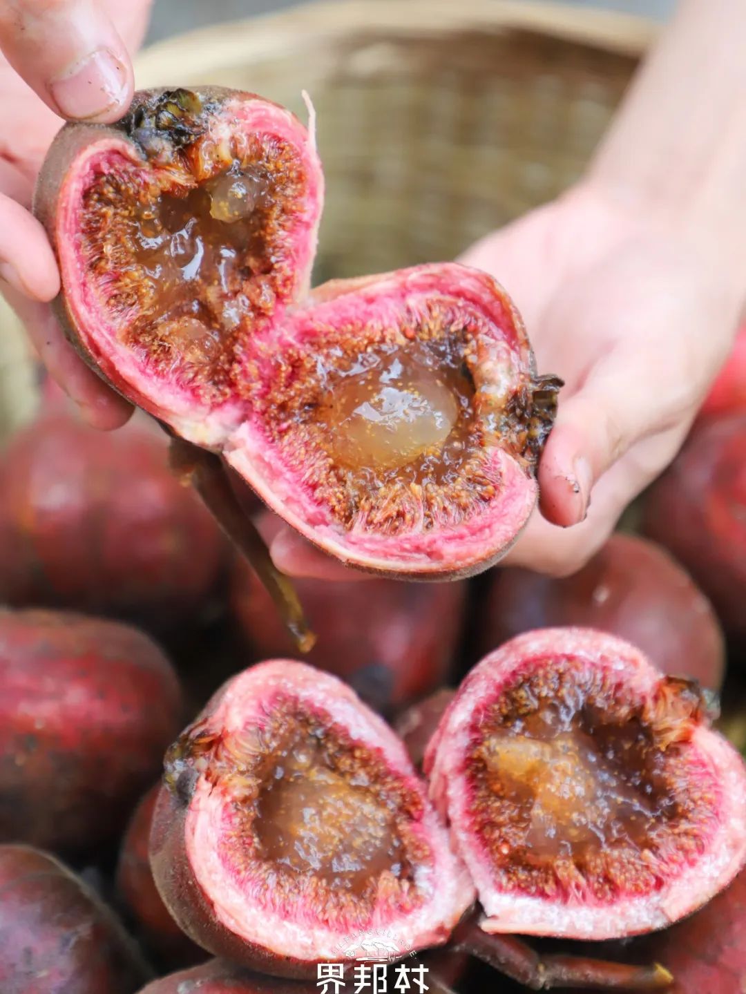 水果|8月份应季水果汇集！8月份吃这12种水果更适宜，水果控们别错过