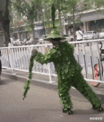 台湾|中国粉丝给自己的偶像买了一个英国爵位？这是真爱粉