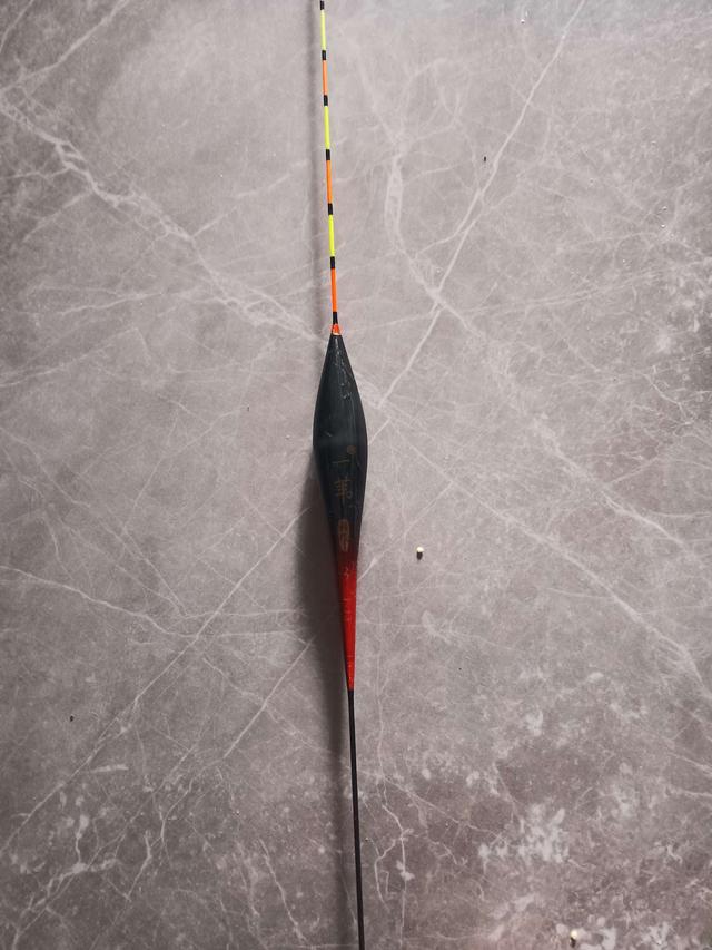 饵料|如何增加双尾中鱼率？可不只是运气！