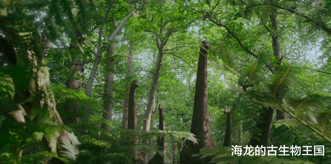 南方波赛东龙粗鲁的取食方式!