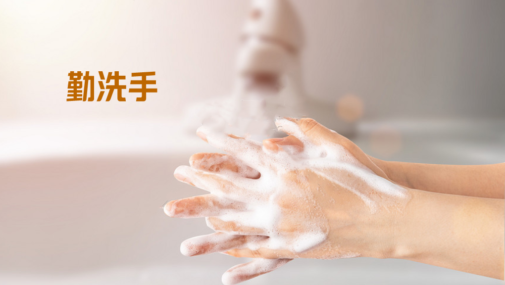 心脏|小结石,大危害|一文读懂胆总管结石的“来龙去脉”