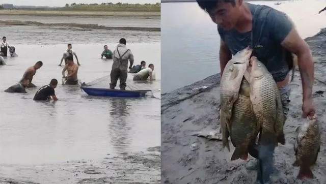 鄱阳湖干旱:村民开车进湖,疯狂捡鱼,网友痛批,到底是好是坏?