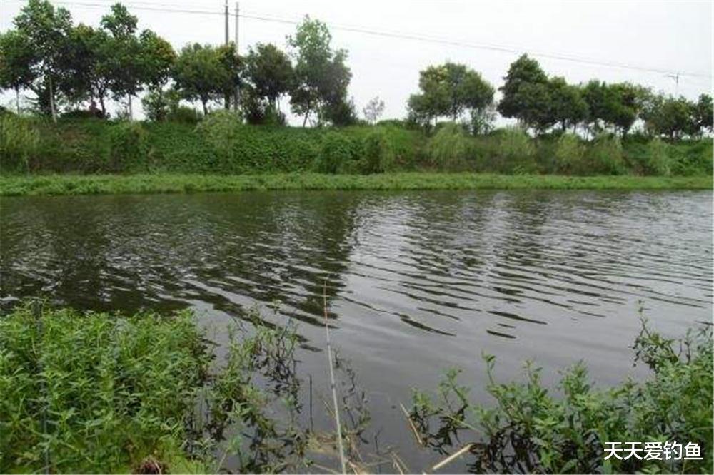 |夏季钓不到鱼，基本是天气没选对，4种天气出门，大鱼狂拉到手酸