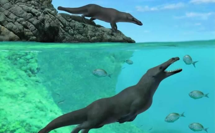 英国惊现不明生物尸体,长达4.5米,身上长满奇怪毛发
