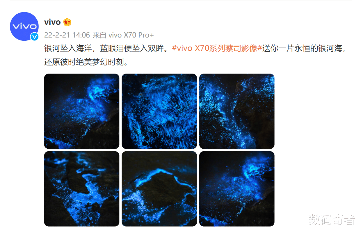 芯片|绝美“蓝眼泪”惊艳众网友,vivo X70 Pro+影像实力获得广泛认可