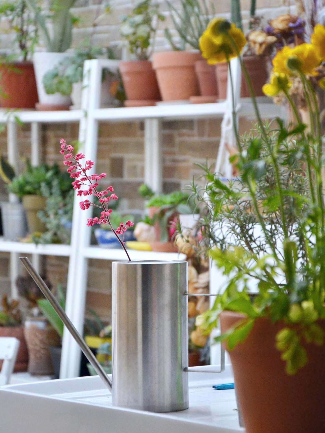 三年前,花1.5万改造了个顶楼10㎡露台“花园阳光房”,太舒服了