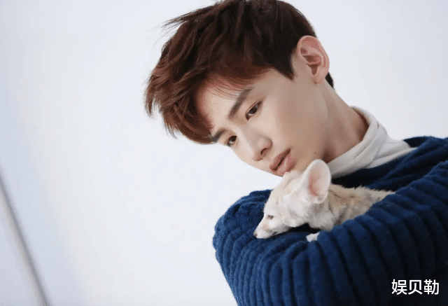 超能使者|因戏结缘后离婚的9对明星，潘粤明董洁最尴尬，但愿白敬亭是例外