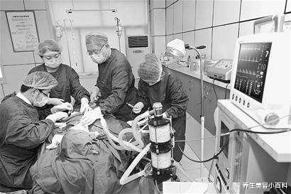 心肌梗塞|21岁女大学生腹痛入院, 医生: 可惜了