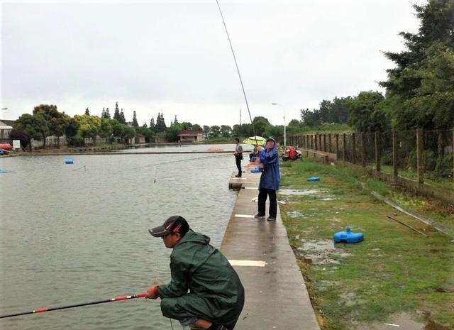 饵料|钓鱼时常常会走进一些误区，看看你究竟中了几招