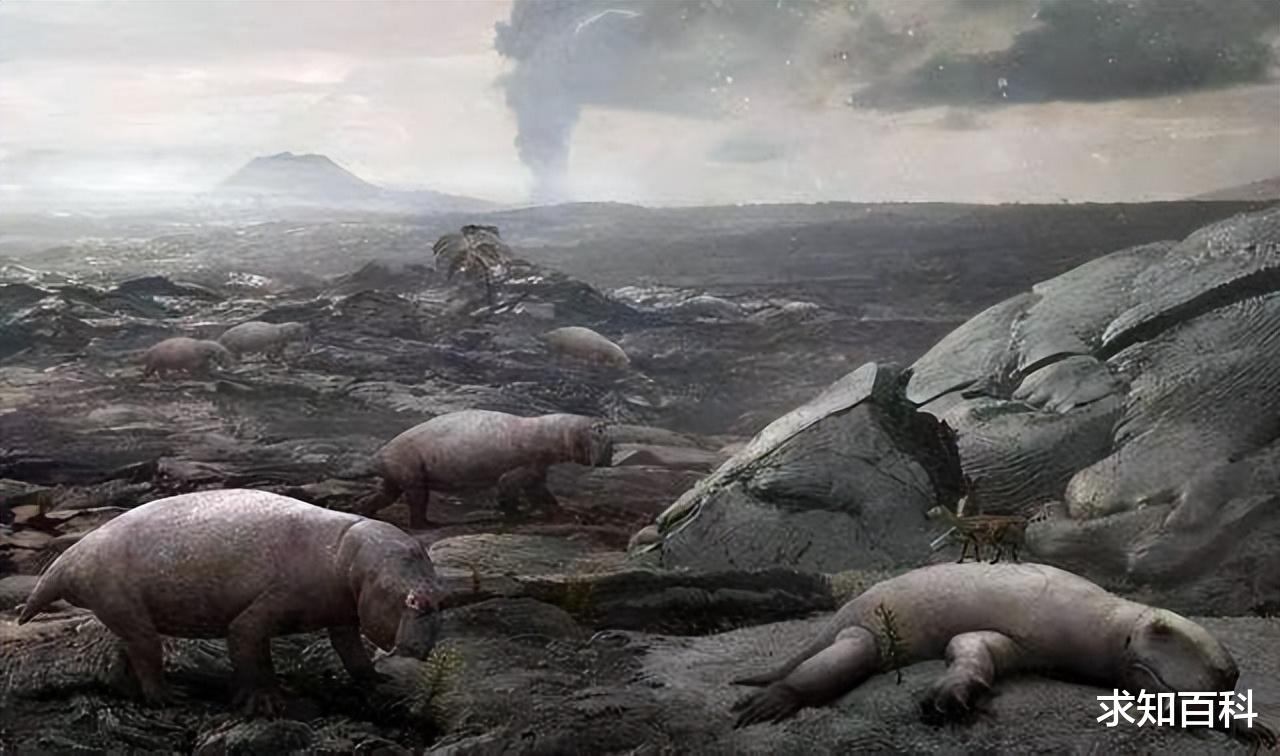 灭绝的生物重新出现,究竟是好是坏? 地球即将第六次生物大灭绝?