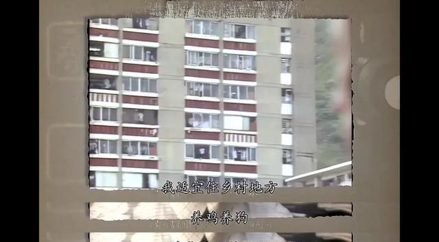 香港|他是“香港投诉王”，40年后孤苦无依，“疯癫”背后尽是辛酸泪