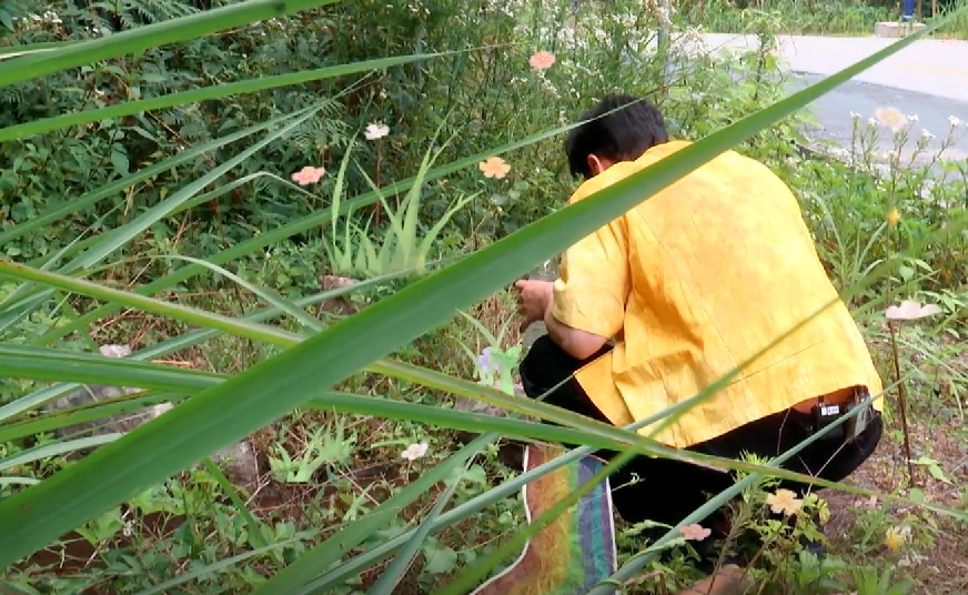 中餐厅第六季|收视率第一！《中餐厅6》首波口碑出炉，打分评价都“一针见血”