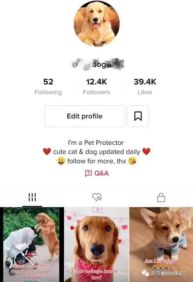 酷狗音乐|Tik Tok跨境电商：8种Tiktok爆款视频垂直领域推荐