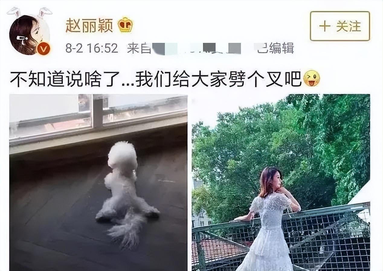 赵丽颖|赵丽颖的婚姻为何仓促又短暂