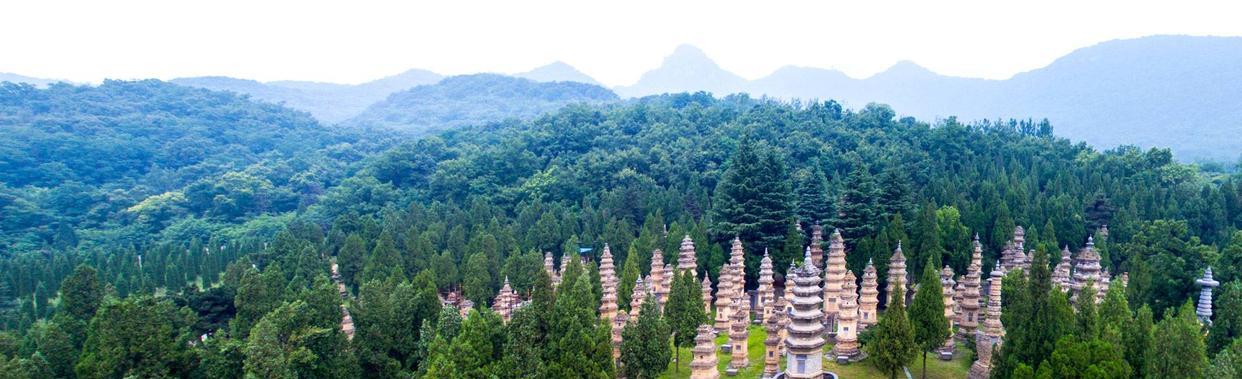 河南|法国游客到河南“少林寺”的游玩感受:门票数十元,感觉很疑惑!
