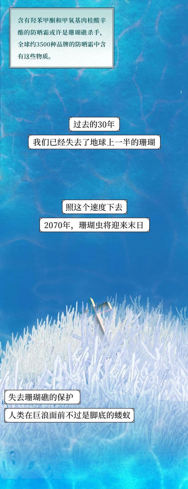 我在海底,目睹了世上最“残酷”的死亡……(漫画科普)涨知识!